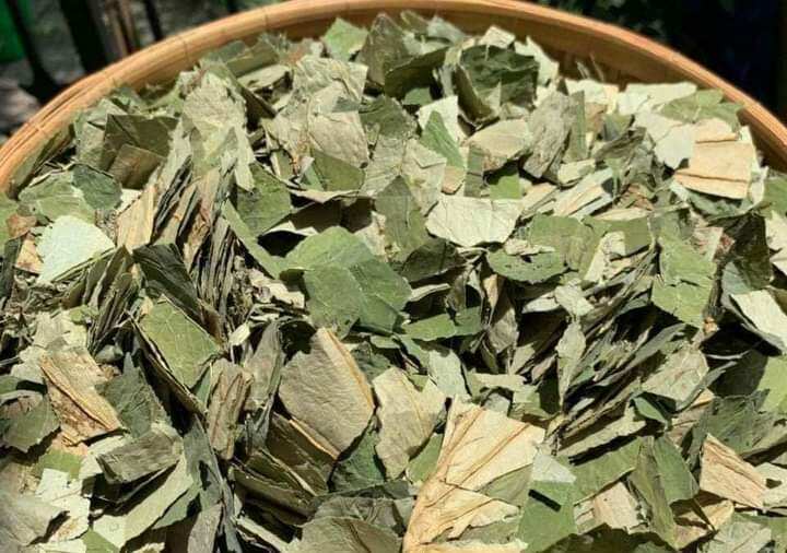 1kg Lá Sen Khô xanh đẹp