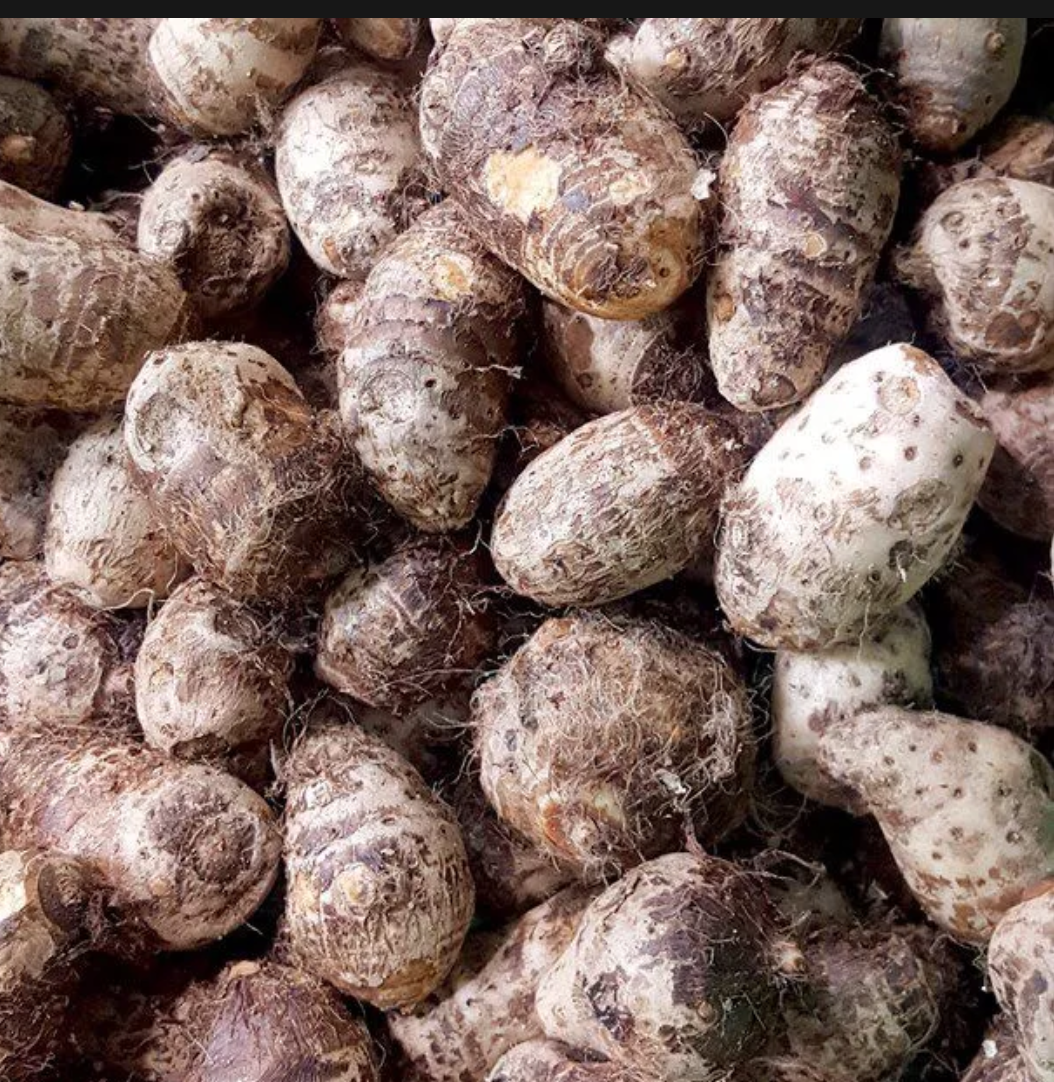 1kg khoai sọ