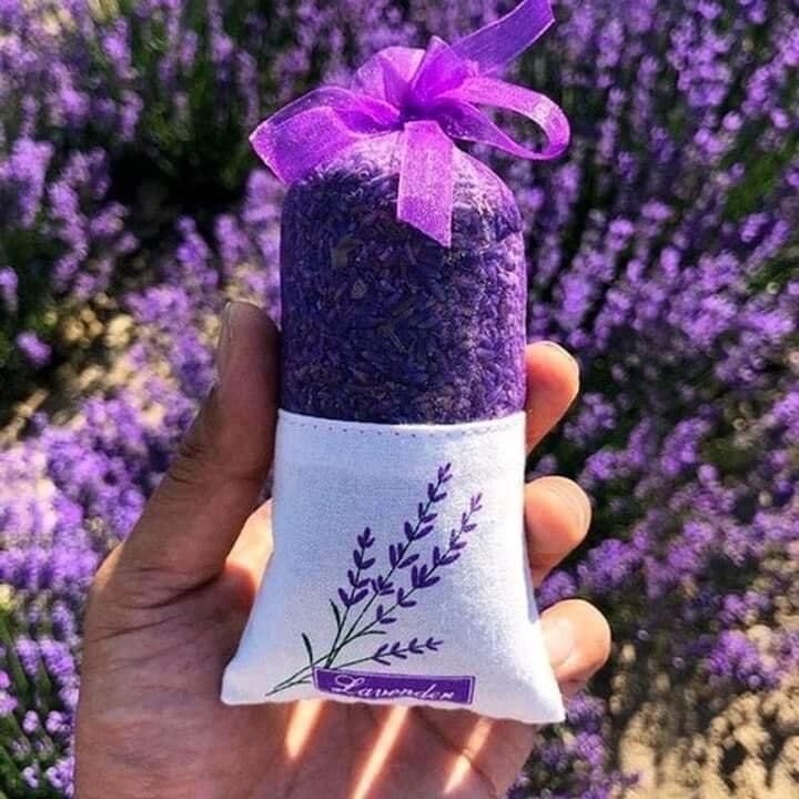 Túi thơm Lavender - Túi hoa khô