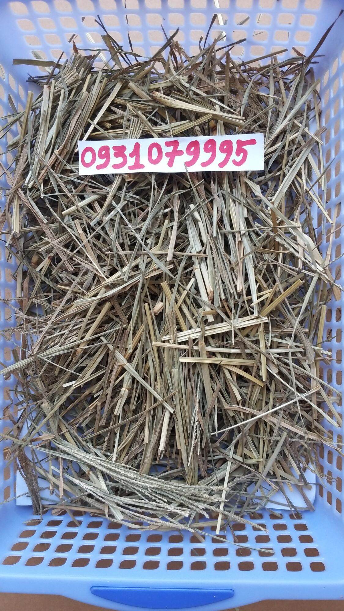 cây cỏ mần chầu phơi khô 1kg