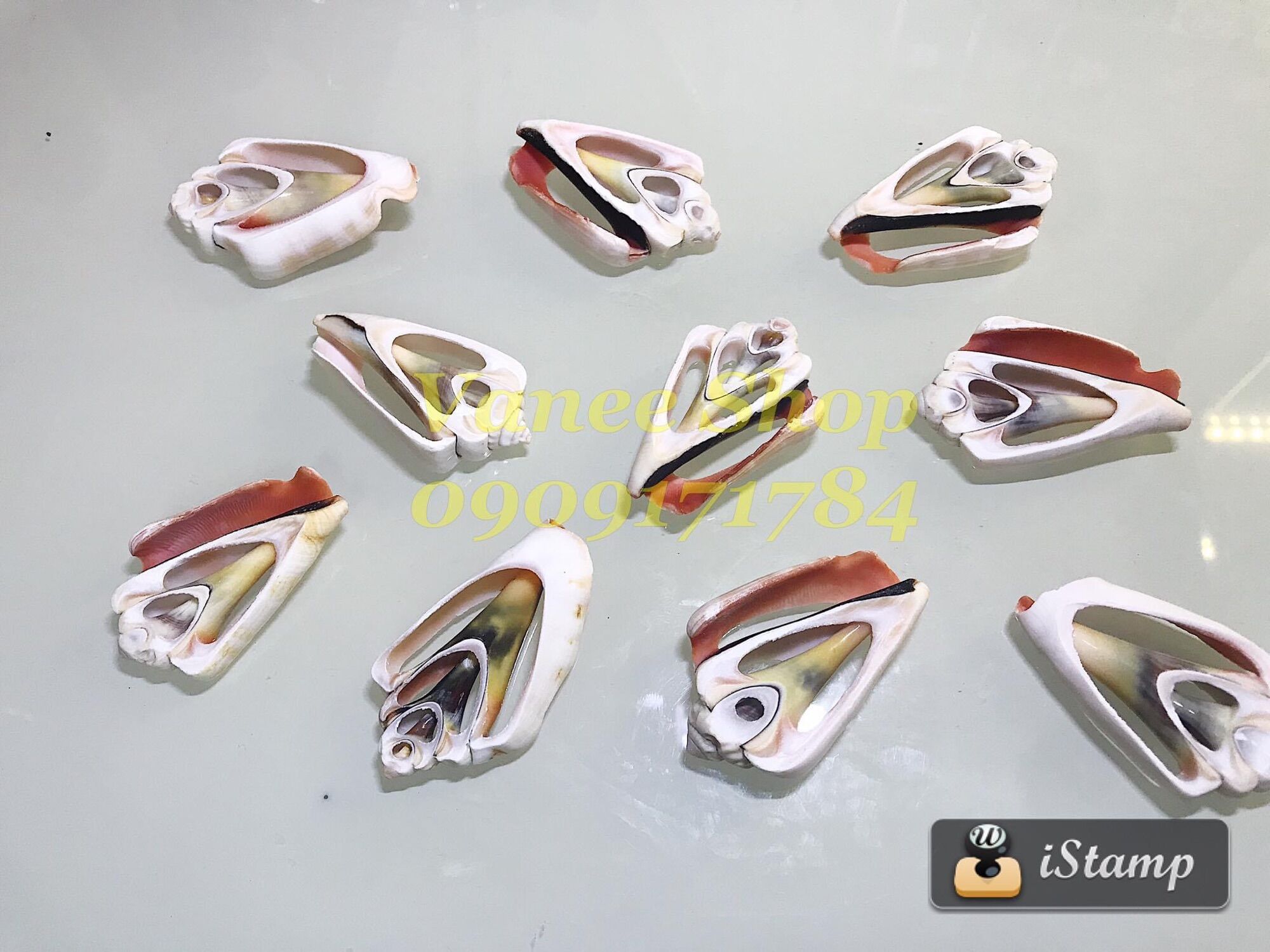 Vỏ ốc cắt 100gr