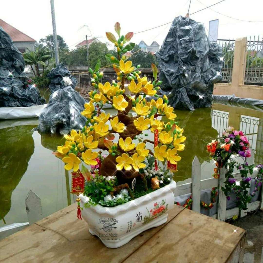 Gốc Giả Mai Đào, Gốc Bonsai