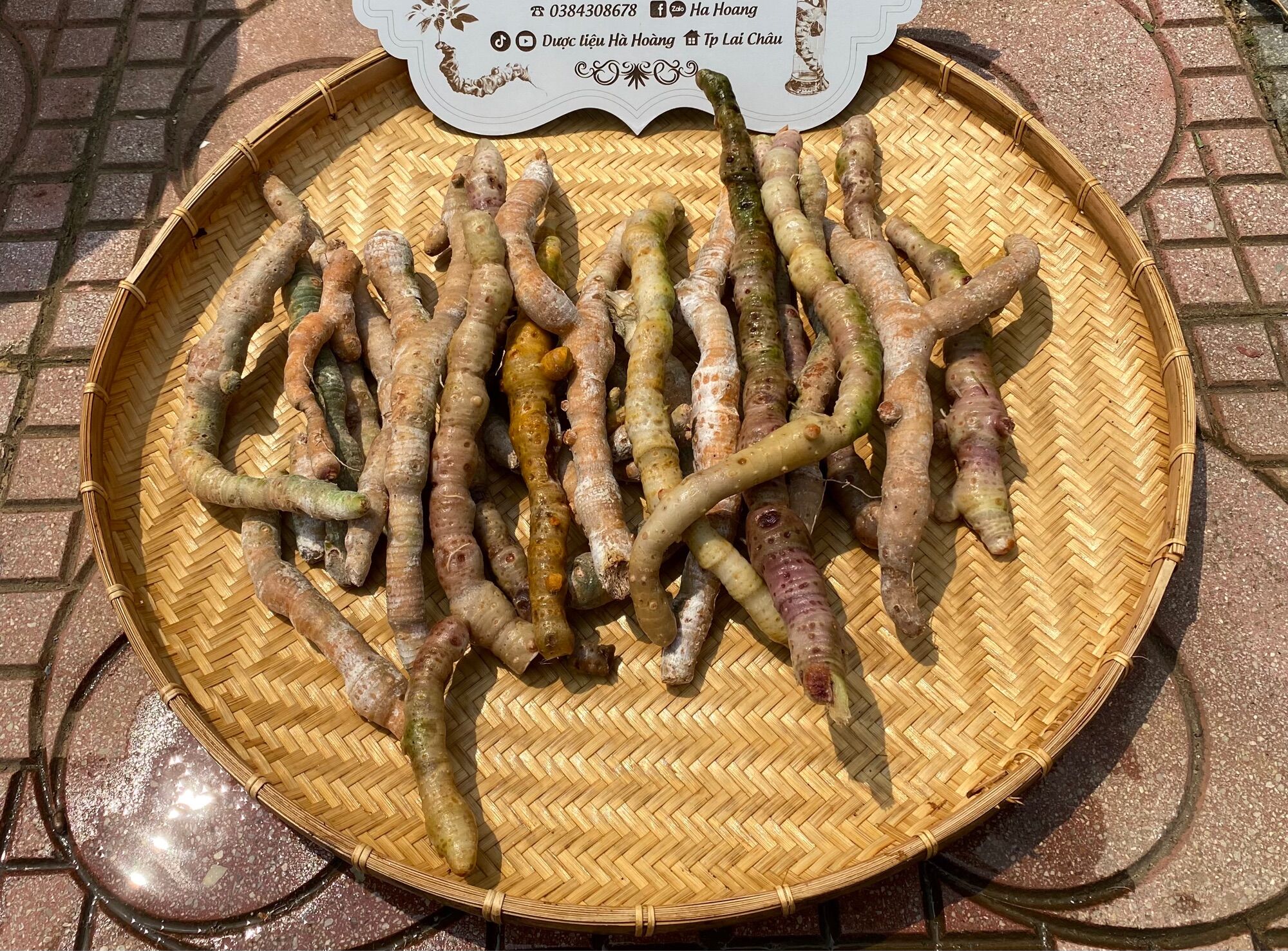 1kg rễ Tứn Khửn tươi (Lai Châu)