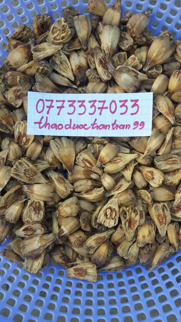 trái dứa gai - dứa dại phơi khô 1kg