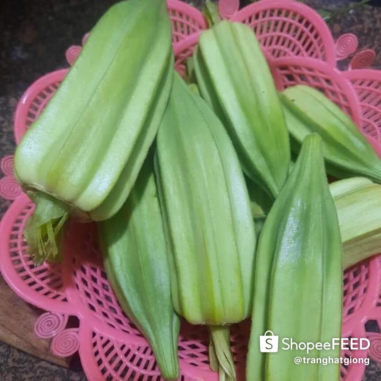 HẠT GIỐNG ĐẬU BẮP KHỔNG LỒ