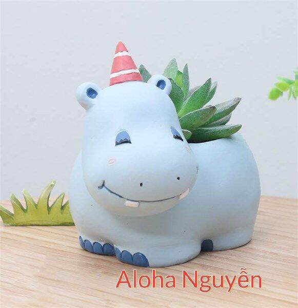 Chậu hà mã happy mua 1 tặng kèm 1 sen đá.