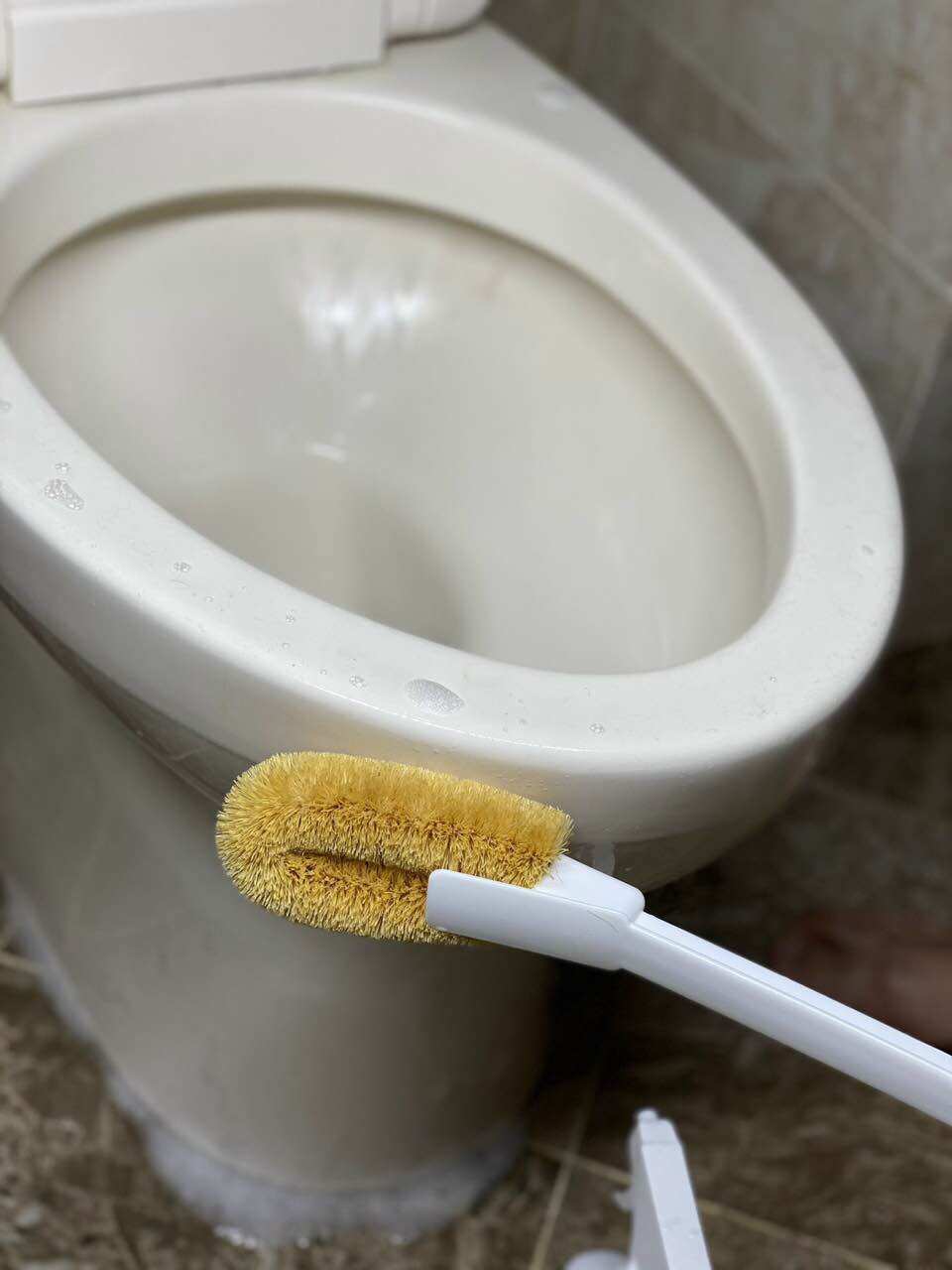 Chổi cọ toilet xơ dừa Nhật