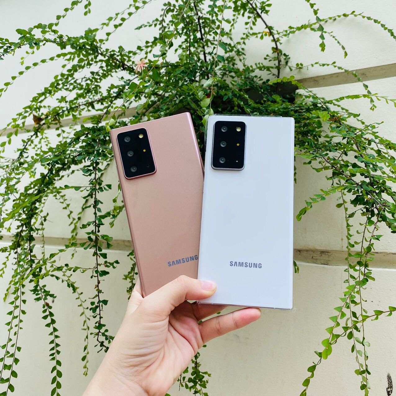 [HCM]Mô hình trưng bay samsung note20 và note 20ultra