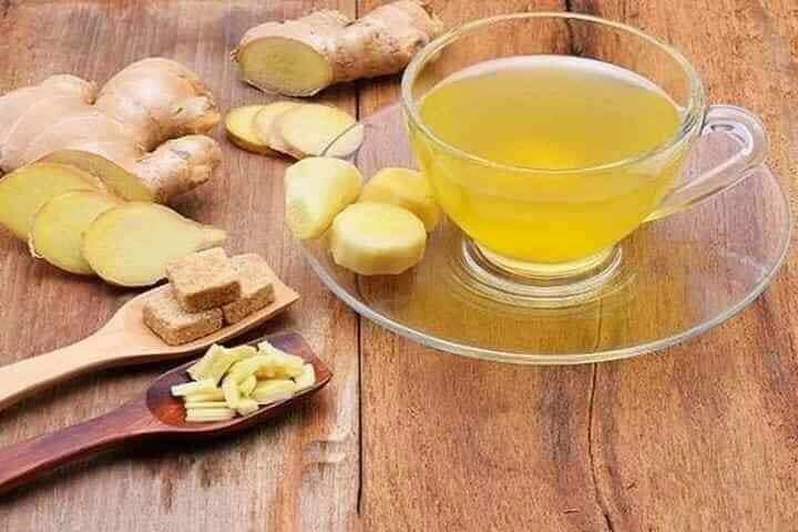 TRÀ GỪNG NHÂN SÂM/ LINH CHI HOTTA THÁI LAN
