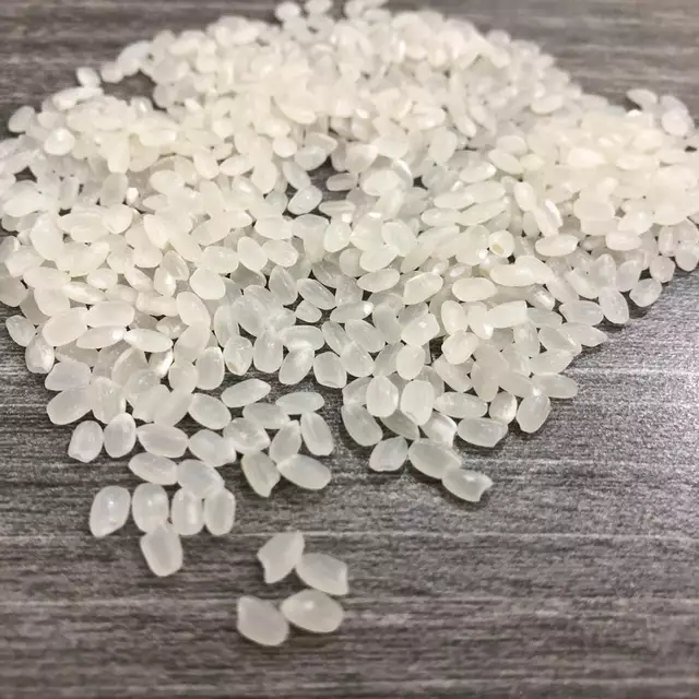 Hạt giống lúa Nhật Japonica túi 1kg