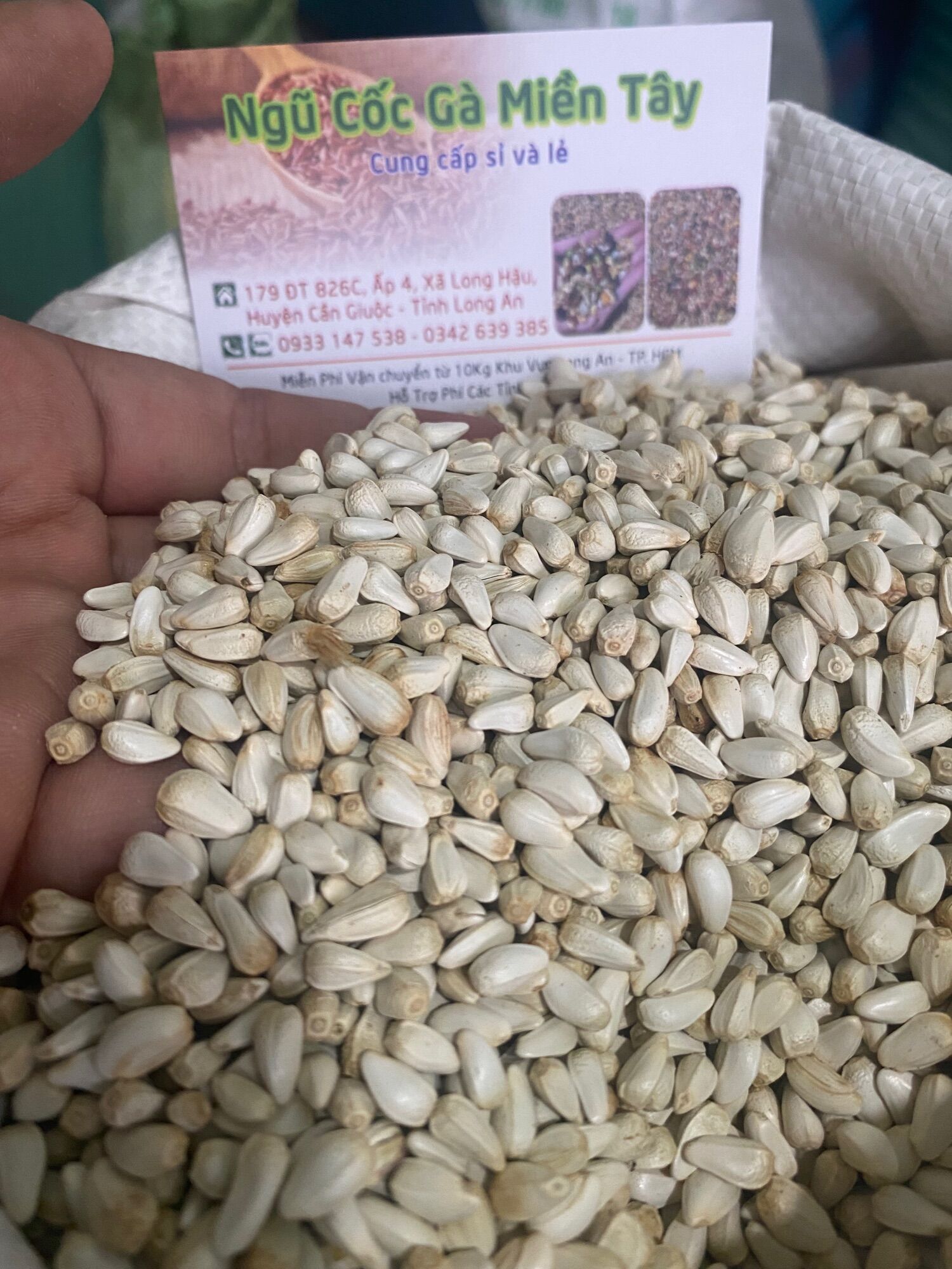 Hạt Kham Sấy Lai Ấn