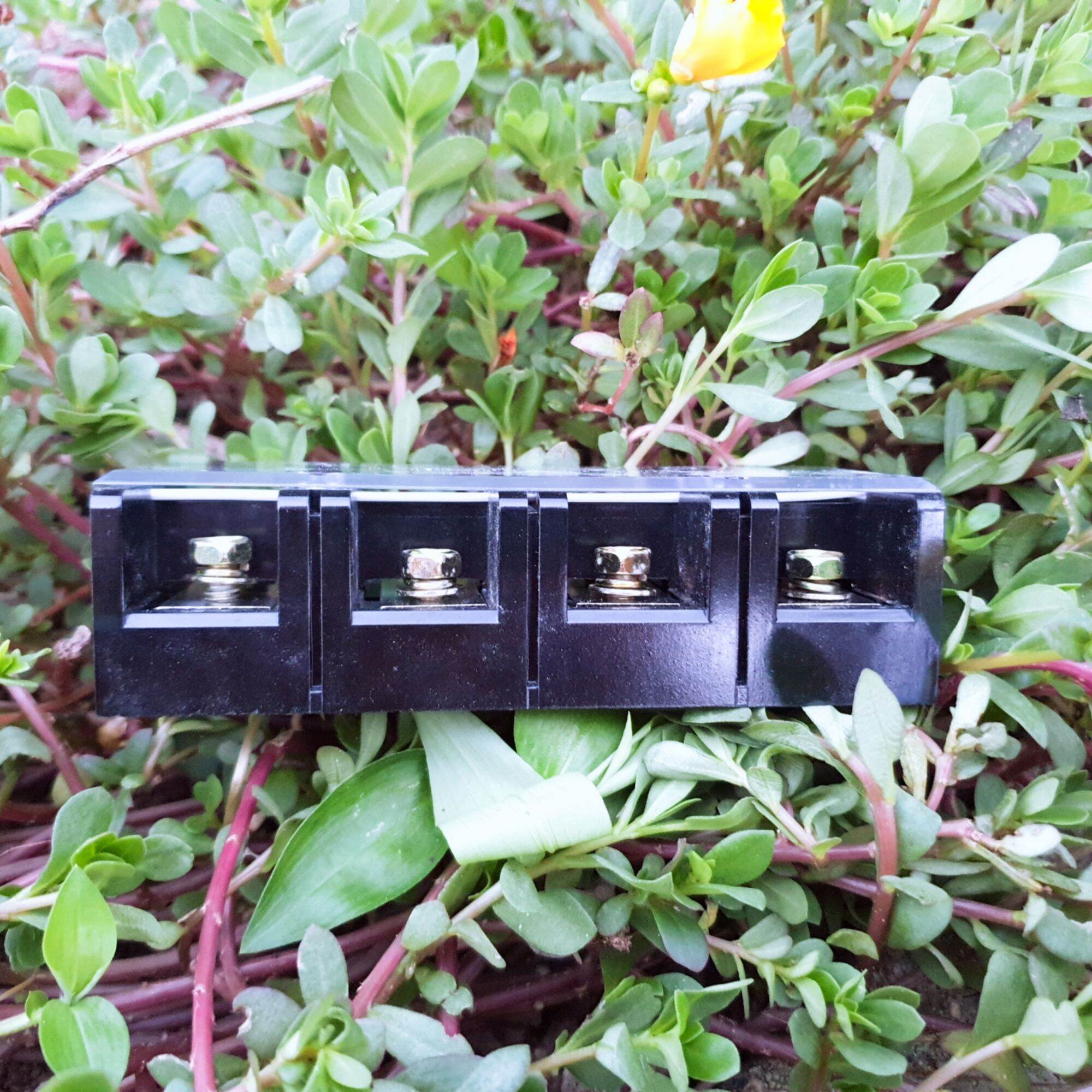 Cầu đấu điện 60A/100A/150A/200A 3 cực 4 cực