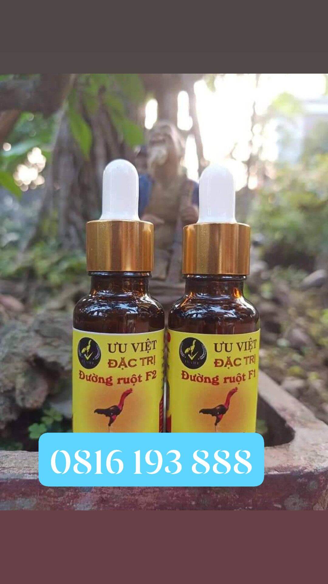 T huốc T rị đường ruột phân xanh phân trắng gà chọi của ưu việt