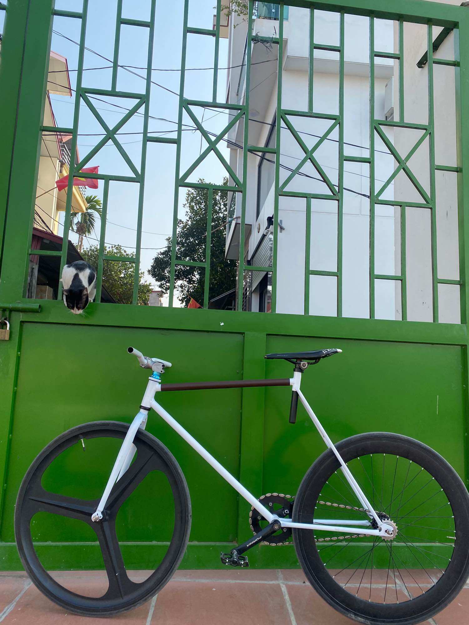Khung xe đạp FIX GEAR CỔ ĐIỂN (CHỈ CÓ KHUNG)