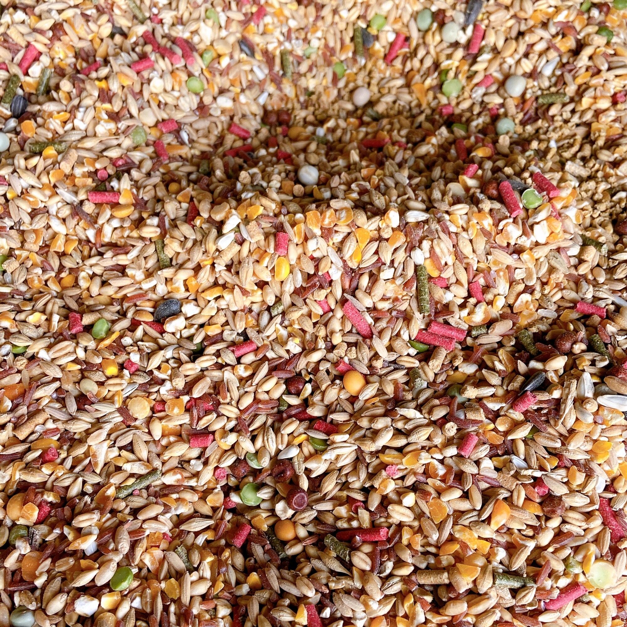 Ngũ cốc gà đá, thức ăn chiến kê gồm 12 loại túi 1kg