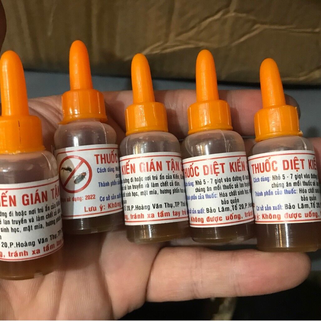 Thuốc Diệt Kiến Dán Sinh Học