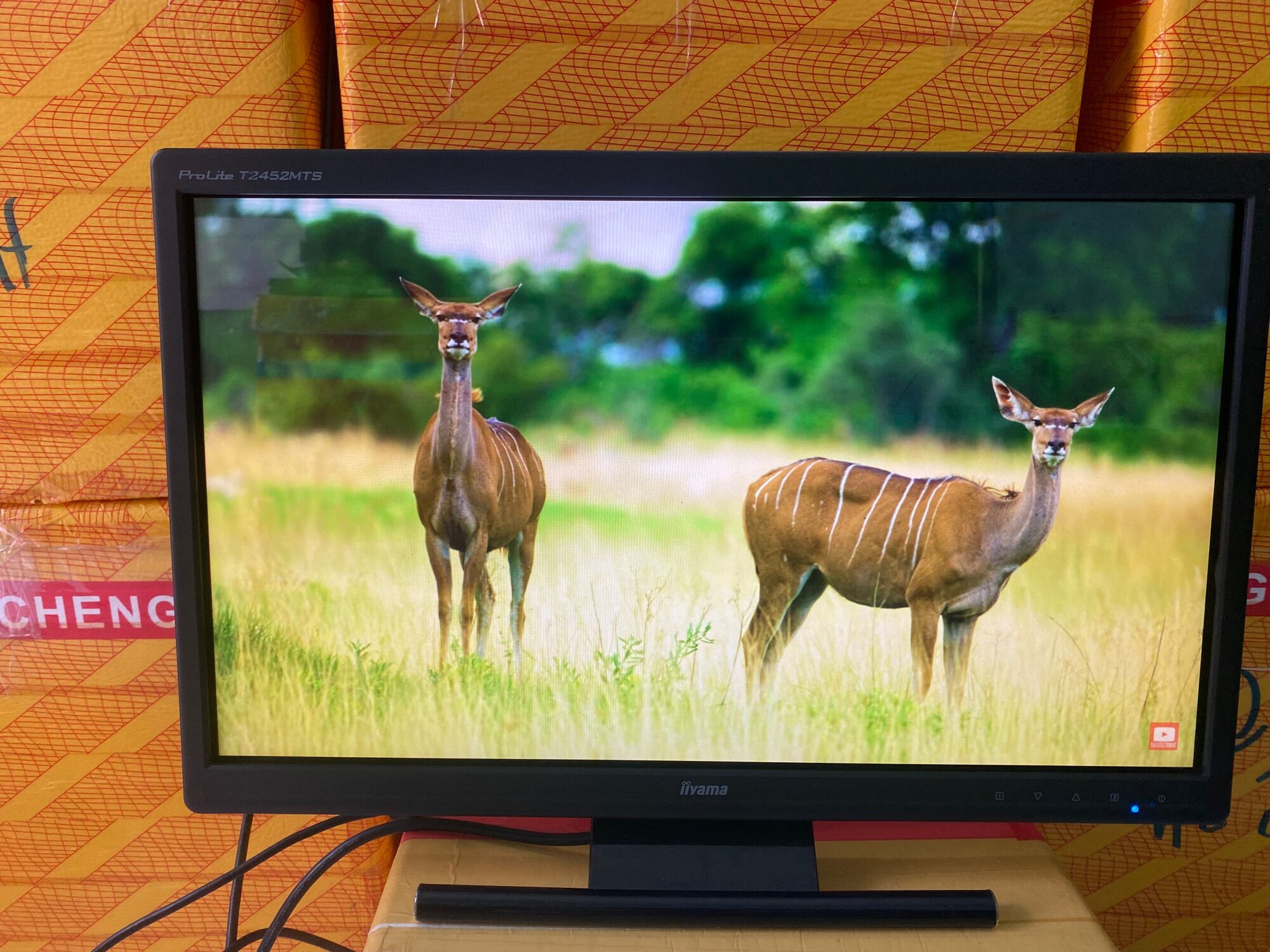 Màn hình 24 inch led full hd đẹp kết nối 2 cổng hdim