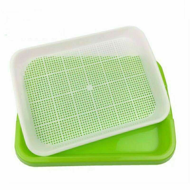 Set 10 khay nhựa trồng rau mầm thủy canh