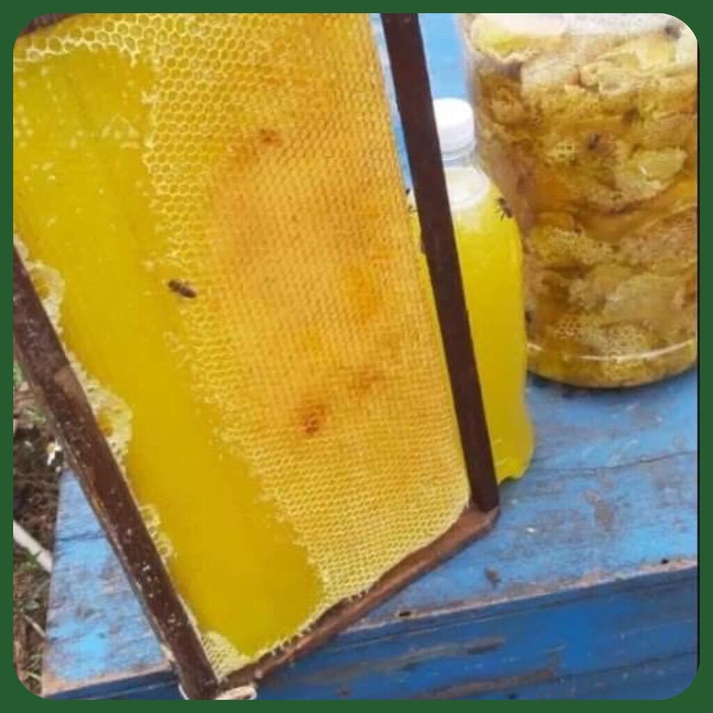 1L MẬT ONG HOA BẠC HÀ NGUYÊN CHÂT