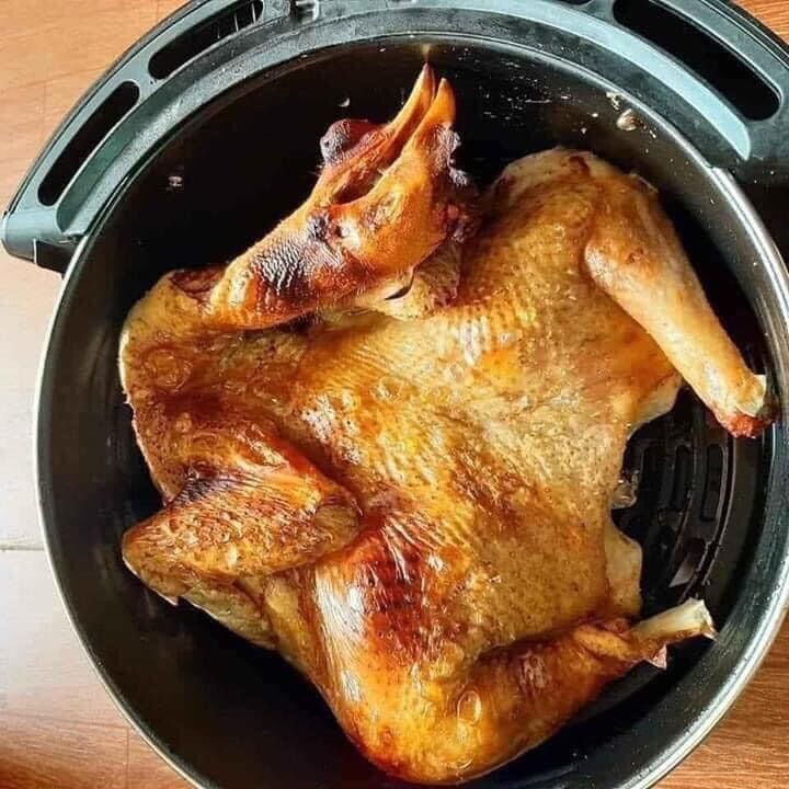 (Sỉ) Nồi chiên không dầu camel 6- 6,5 lít