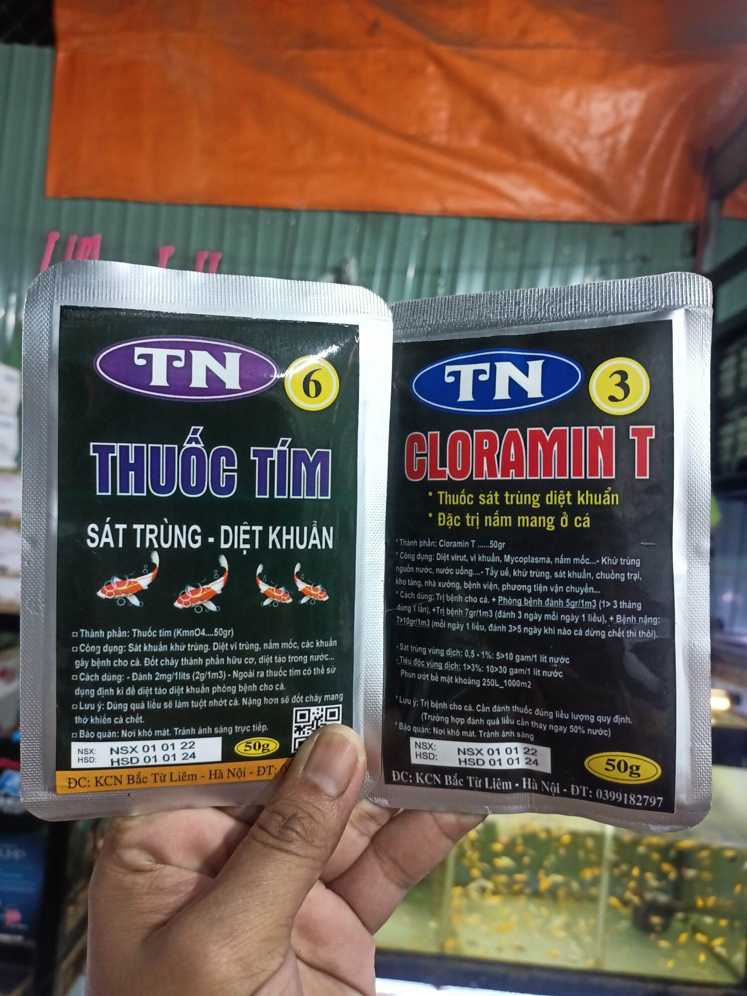 Ngăn ngừa nấm mang cho cá , sát trùng diệt khuẩn hồ cá , sát khuẩn bể cá cloramin t và tím