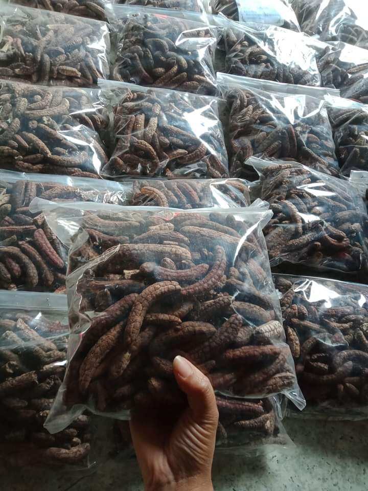 1 kg chuối hột rừng Tây Nguyên ngâm riu ngọt.thơ.