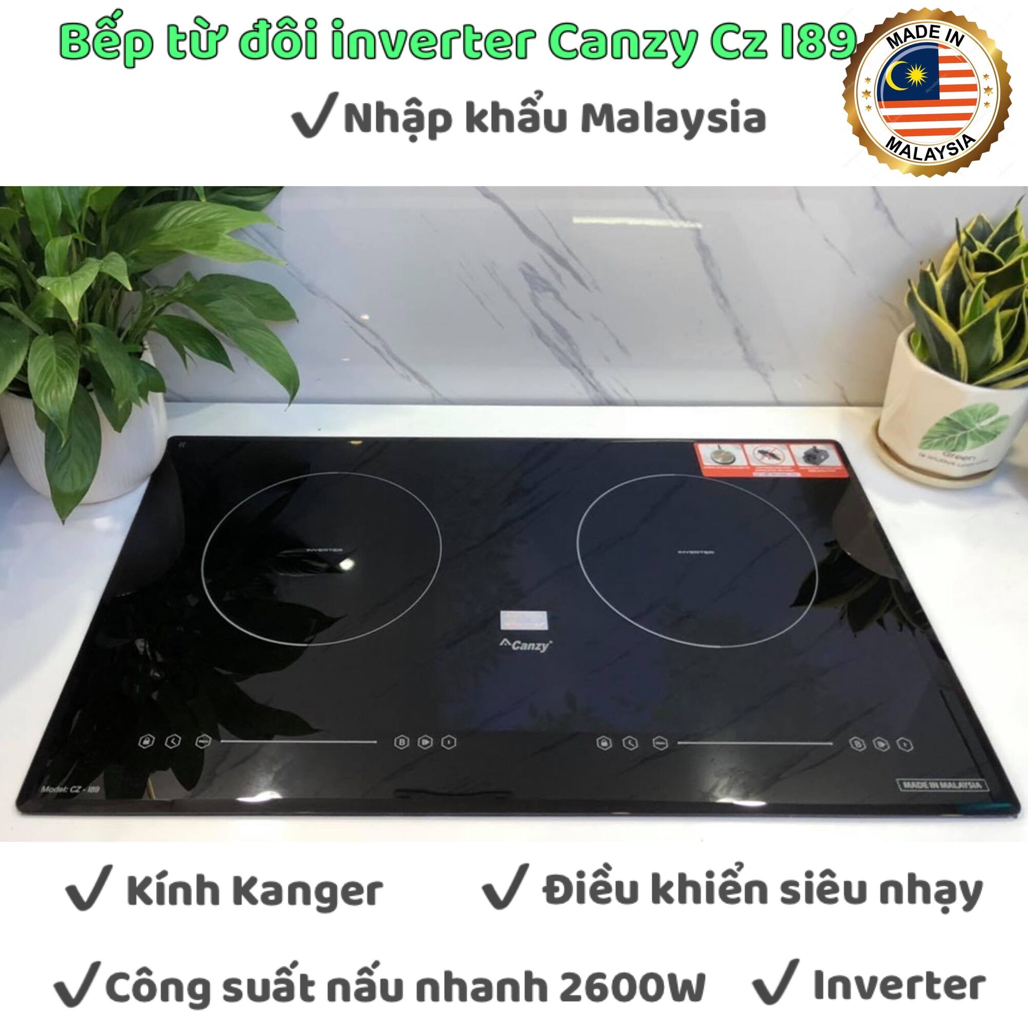 Bếp từ đôi Canzy Cz i89