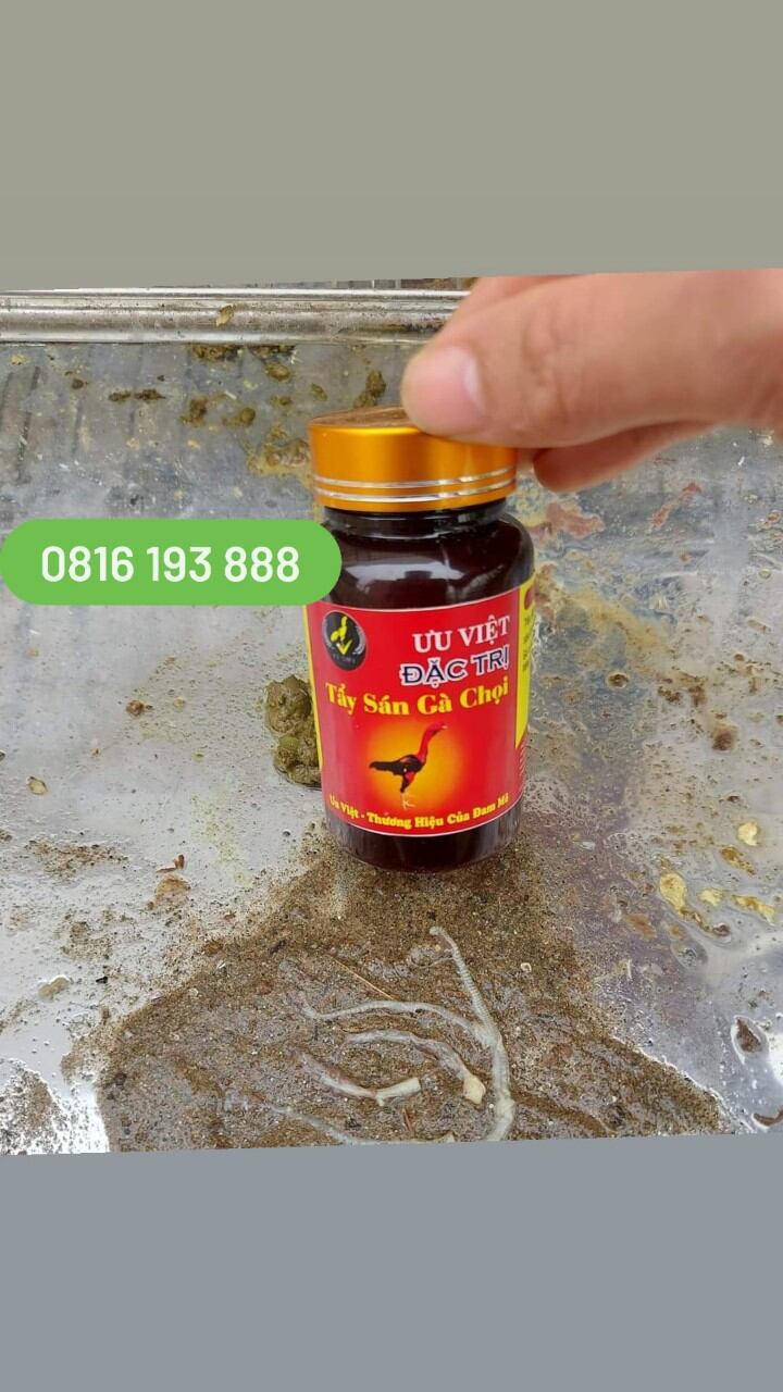 Thuốc gà chọi ưu việt - Thuốc tẩy sán cho gà