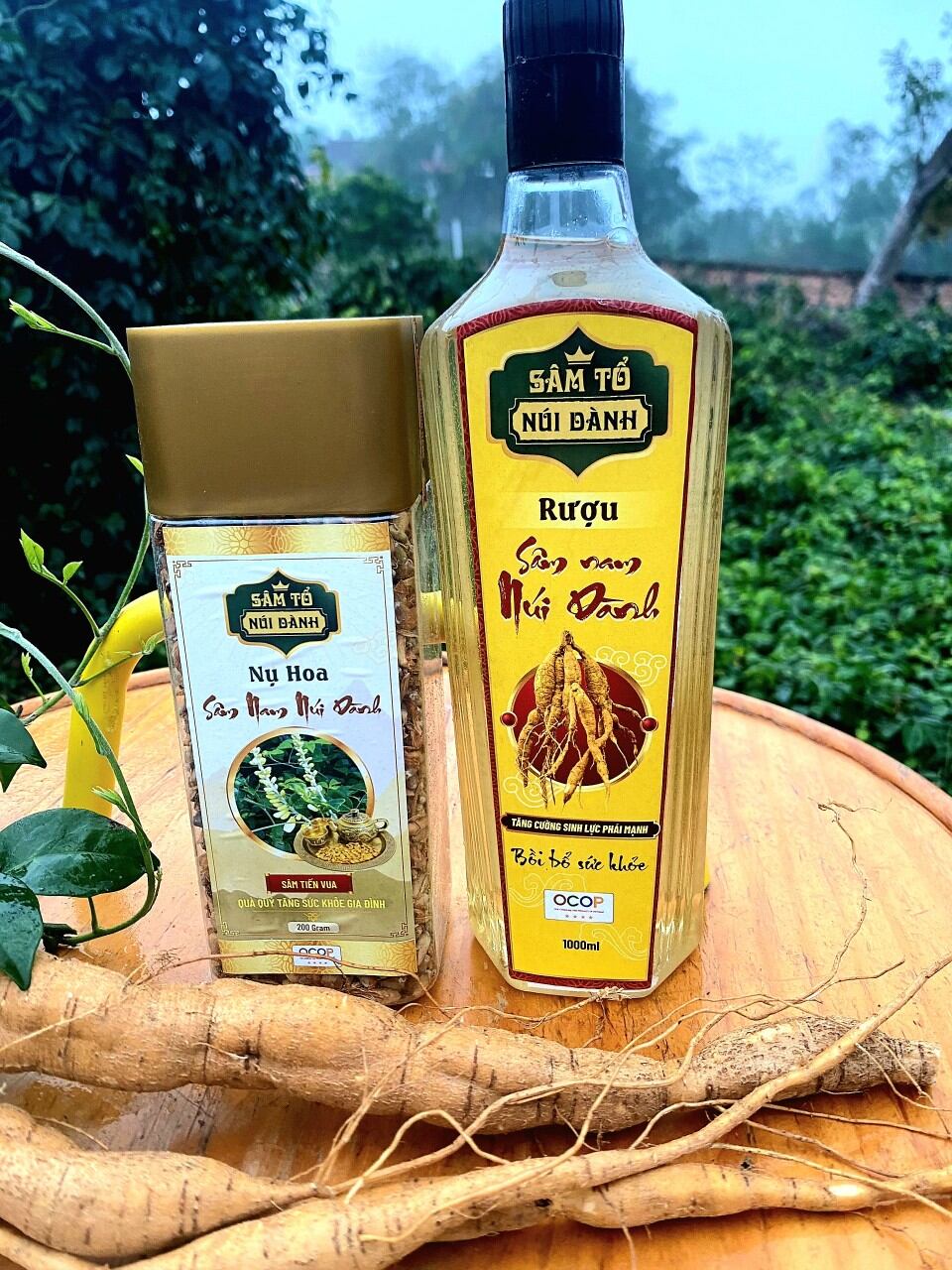 Combo nụ hoa sâm nam núi dành 200gr + chai rượu sâm nam ngân chai 1 lít