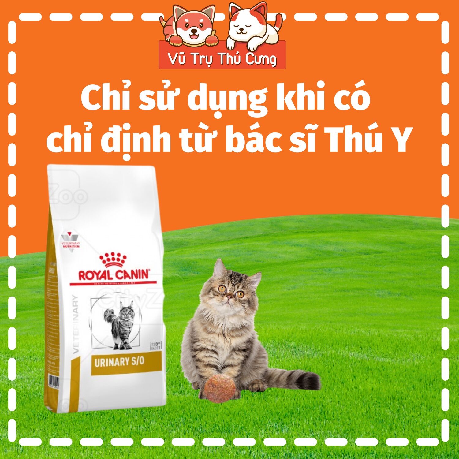 Hạt cho Mèo bị sỏi thận Royal Canin Urinary S/O