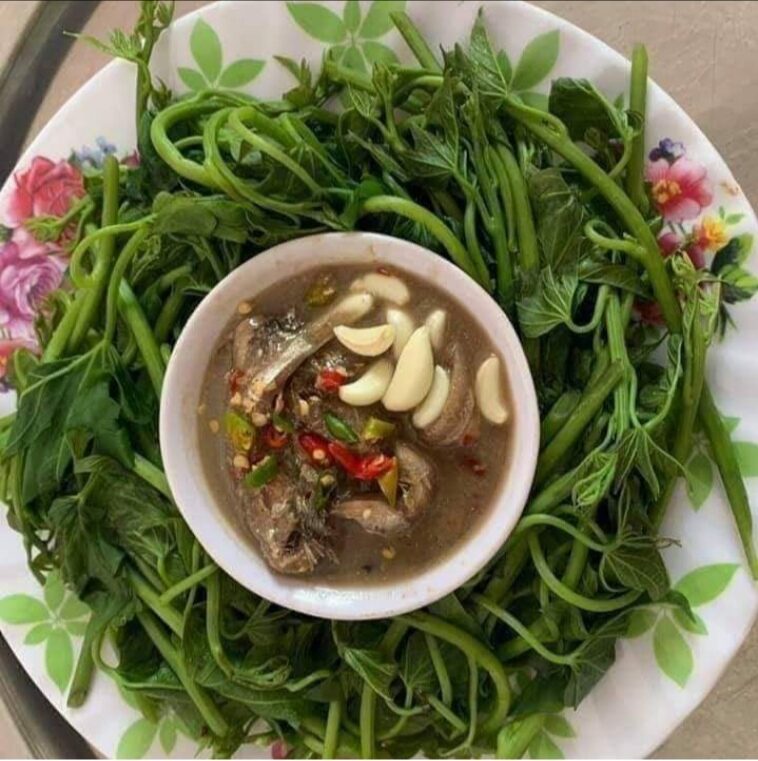 500gram Mắm cá cơm nguyên con  1 hũ