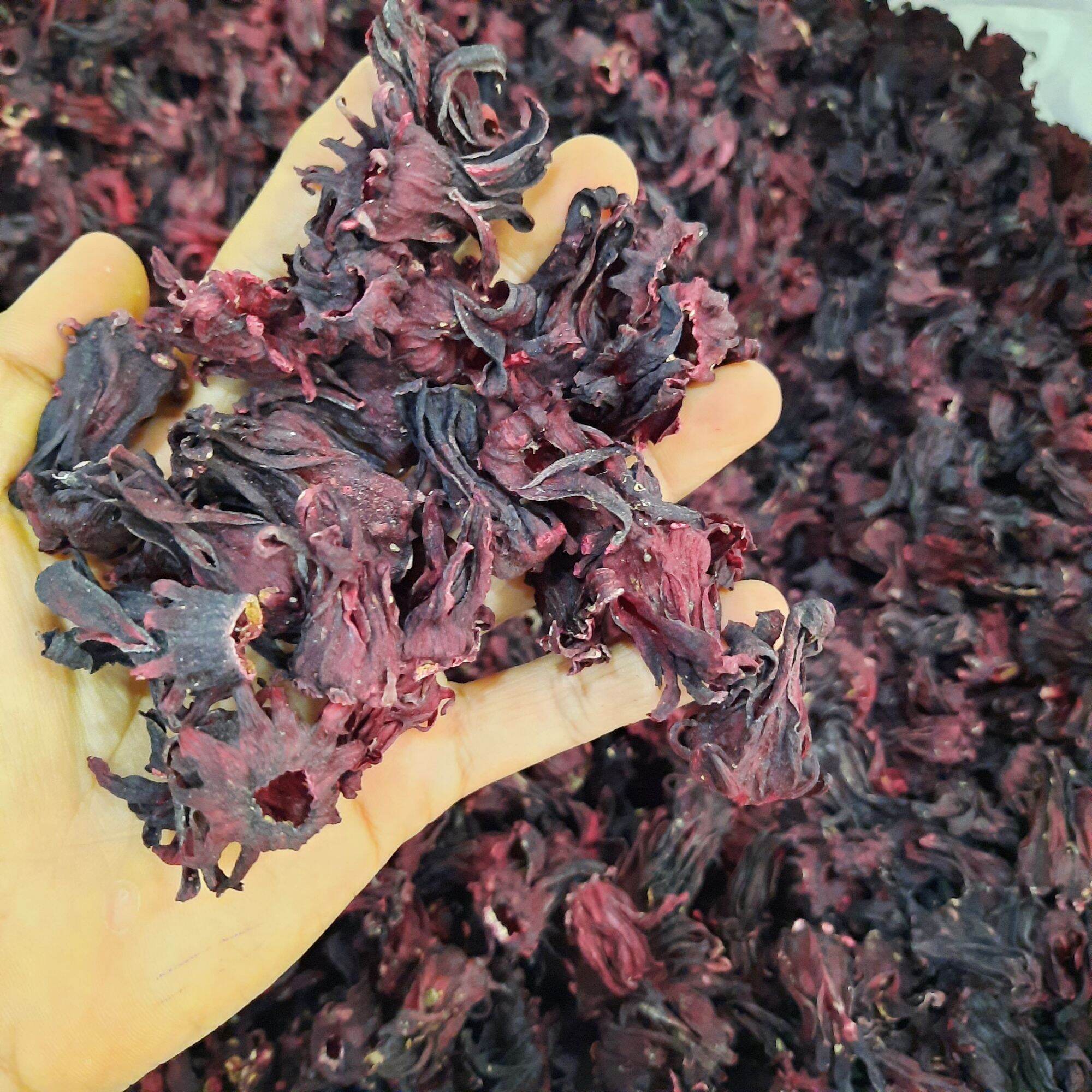 1kg trà atiso đỏ nguyên bông