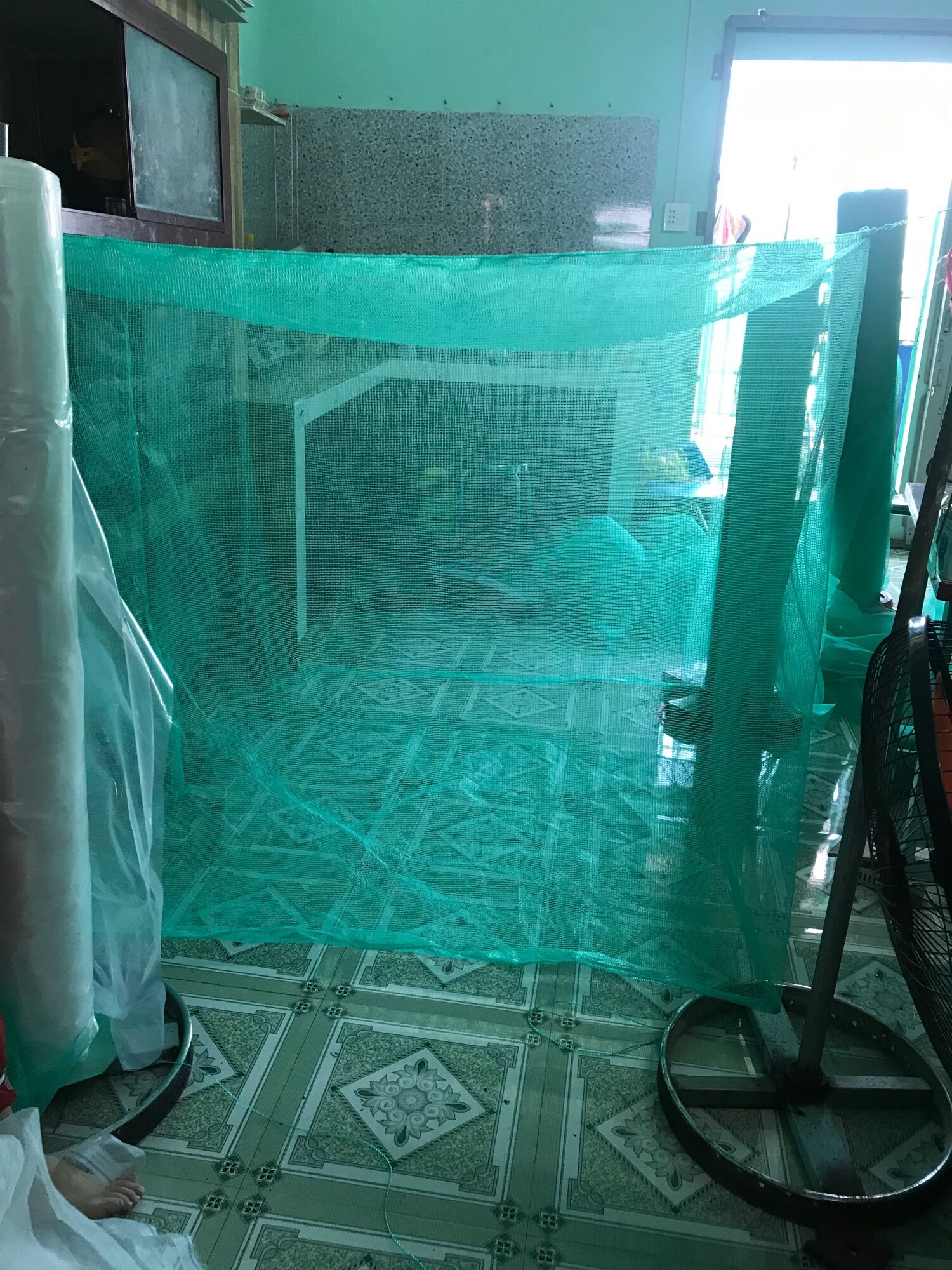 Mùng nuôi ếch 🐸, cá 2M x 3M x 1.5M CÓ NẮP
