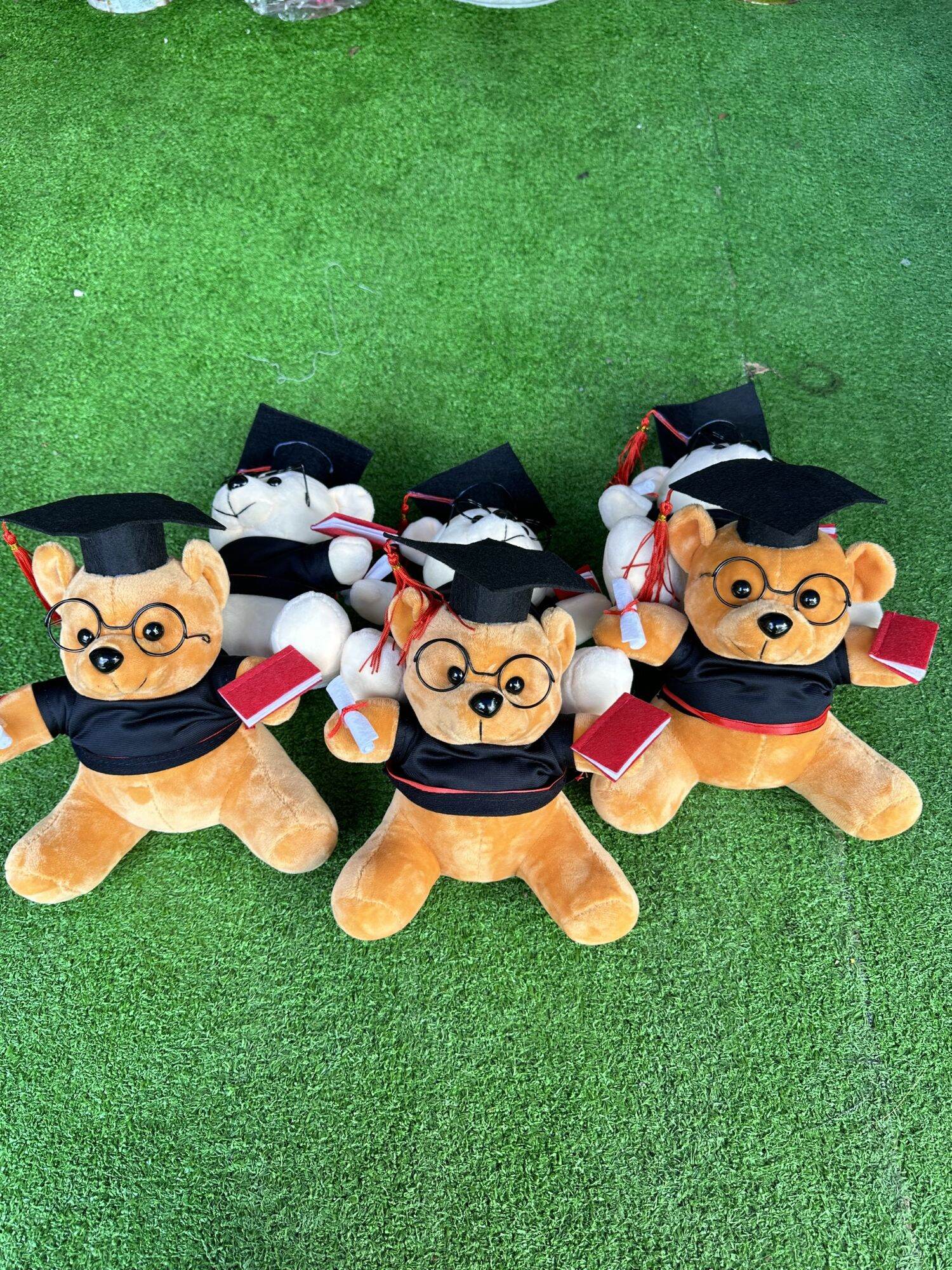 Gấu bông tốt nghiệp