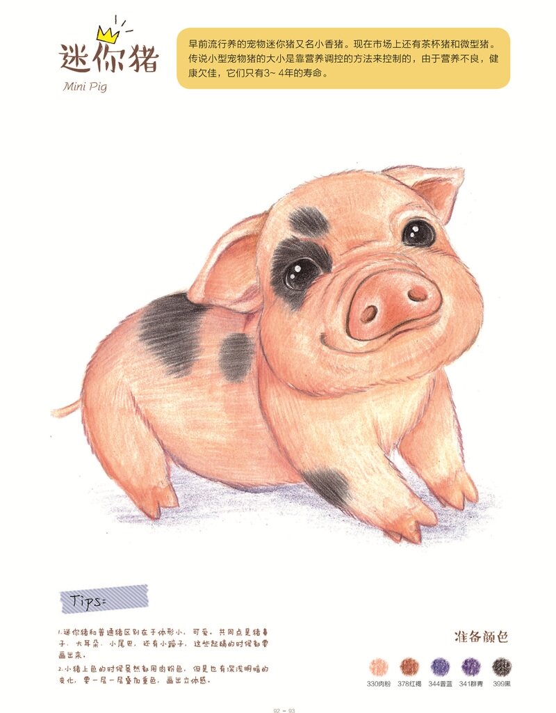 ARTBOOK VẼ THÚ CƯNG ĐÁNG YÊU P2