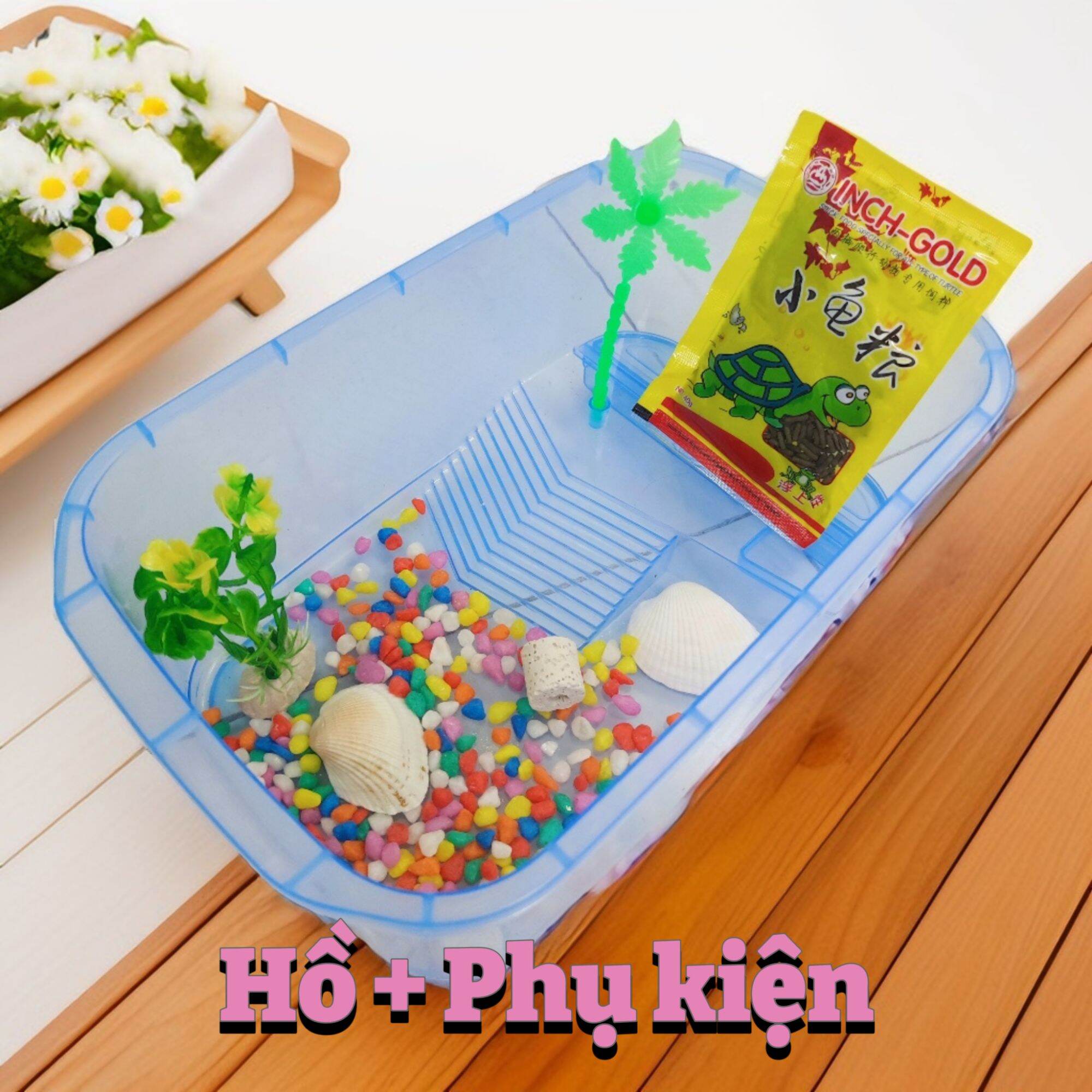 Hồ nhựa nuôi rùa, bể nuôi rùa cỡ Nhỏ tặng kèm đá, sỏi, cây cảnh