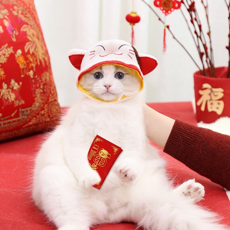 [SIÊU RẺ] Mũ đội siêu yêu cho cún miu