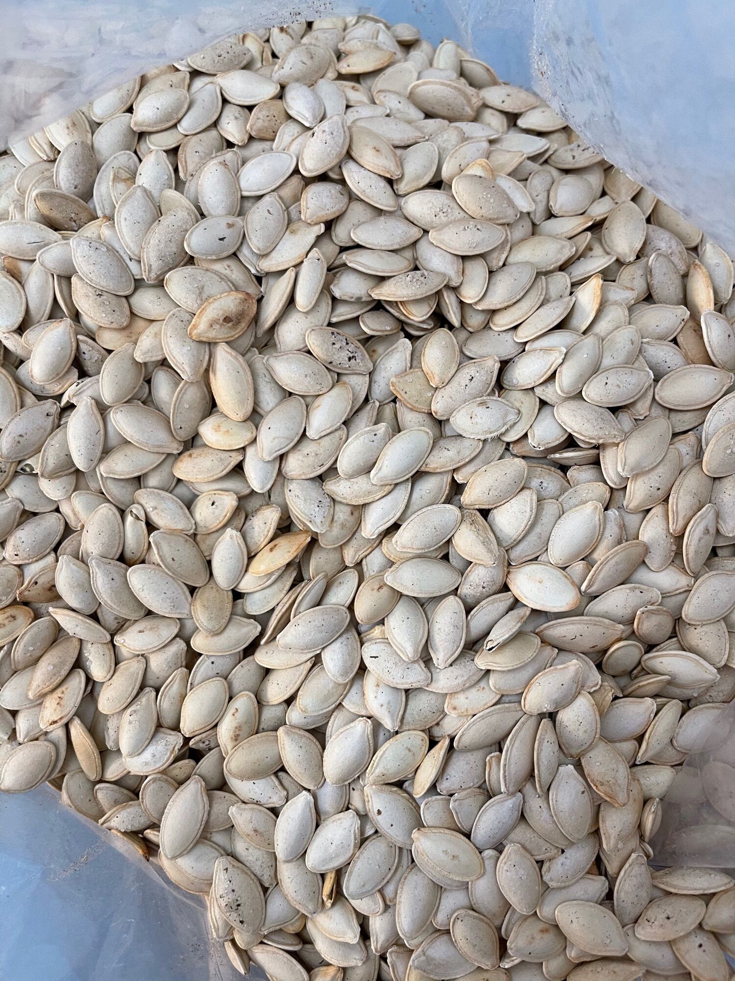 500gr hạt bí rang muối