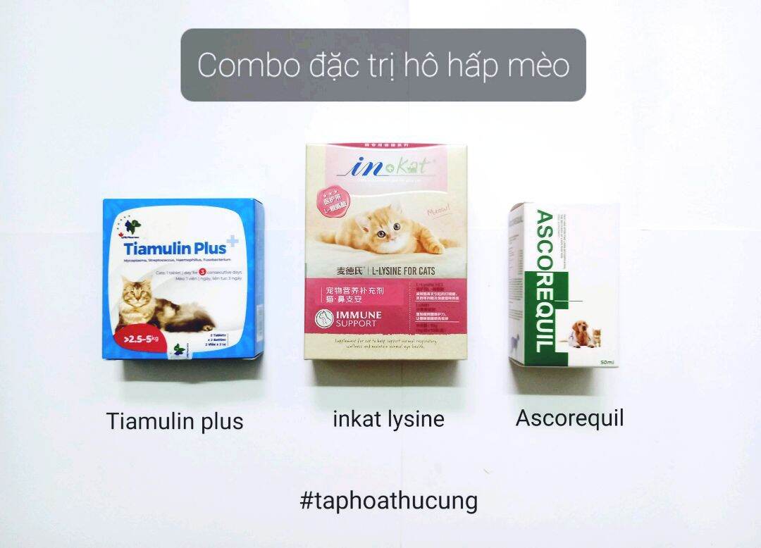 Tiamulin Plus cho mèo hỗ trợ hô hấp (đủ size 0.4-10kg)
