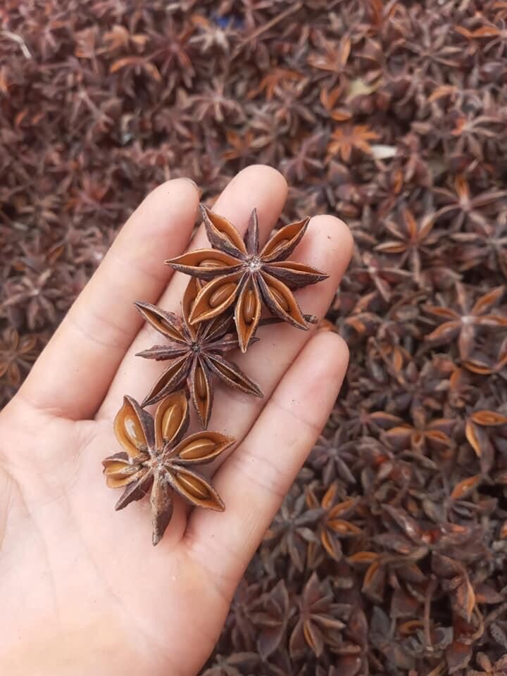 Hoa hồi - đại hồi 😘 hót #hót: giá khuyến mại 45k/200g