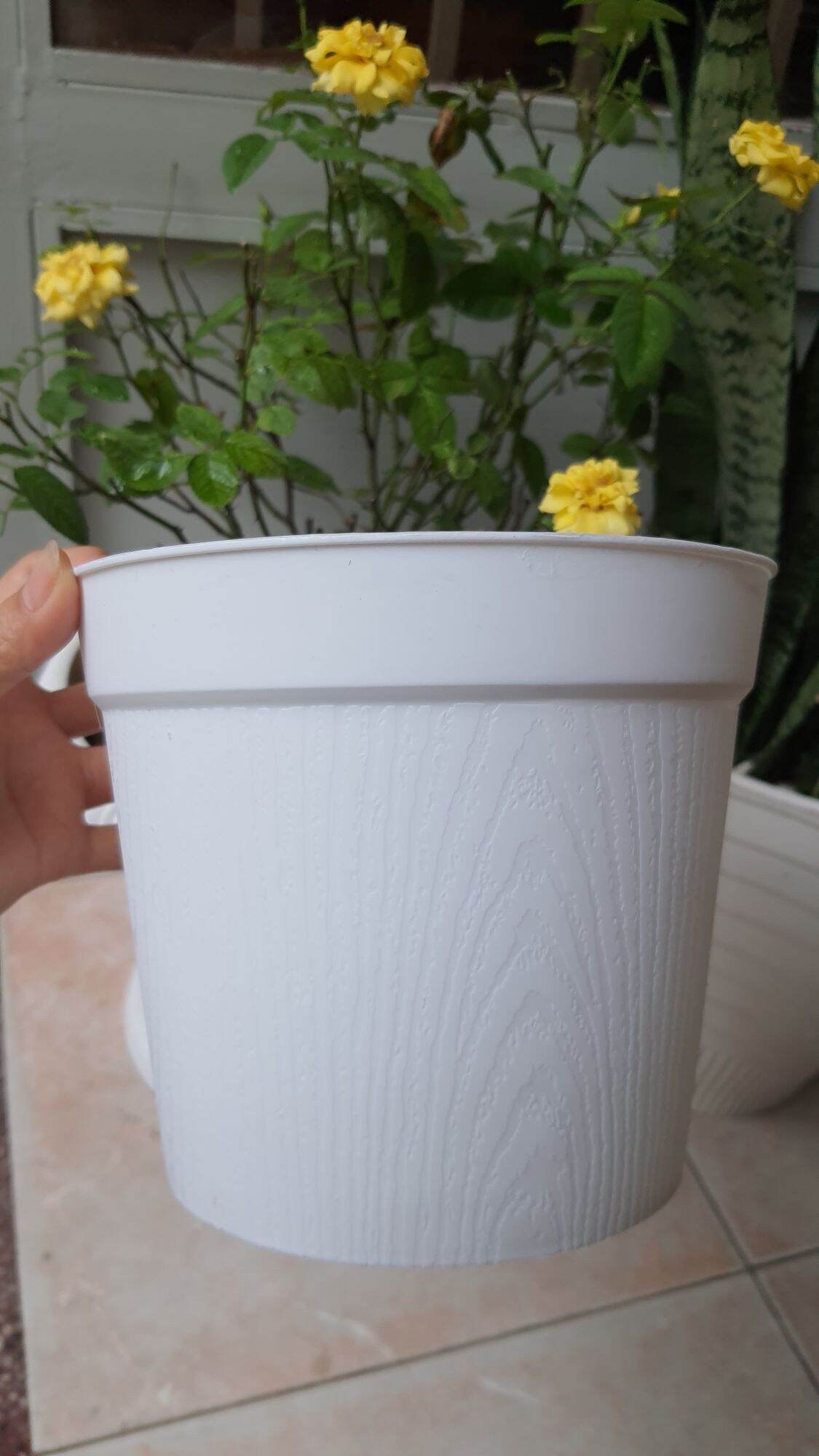 chậu nhựa vân gỗ size 18cm