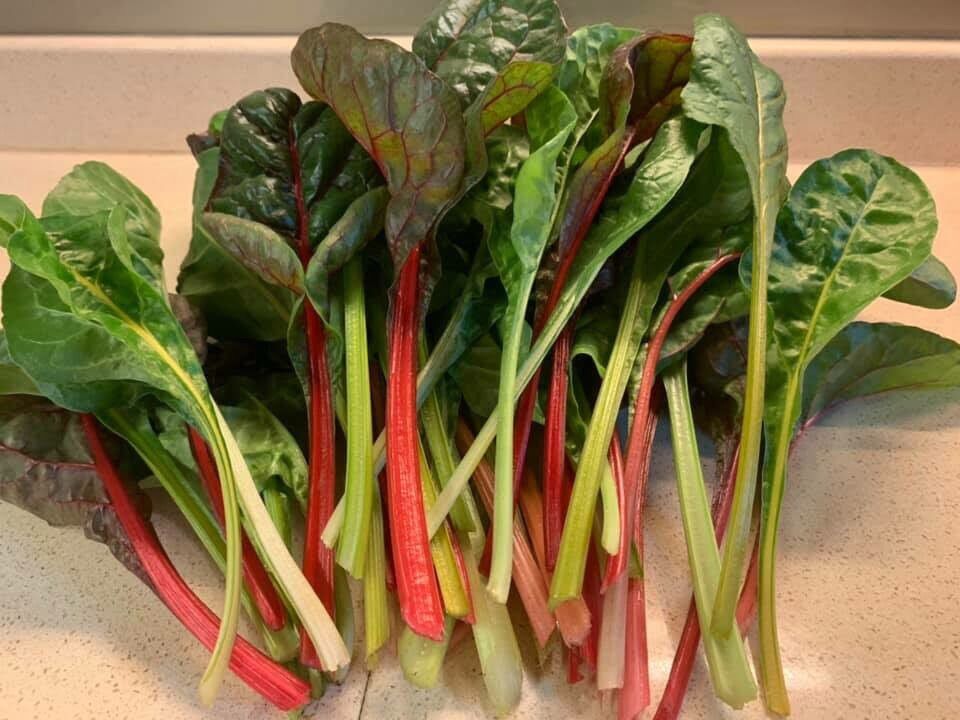 Cải cầu vồng
