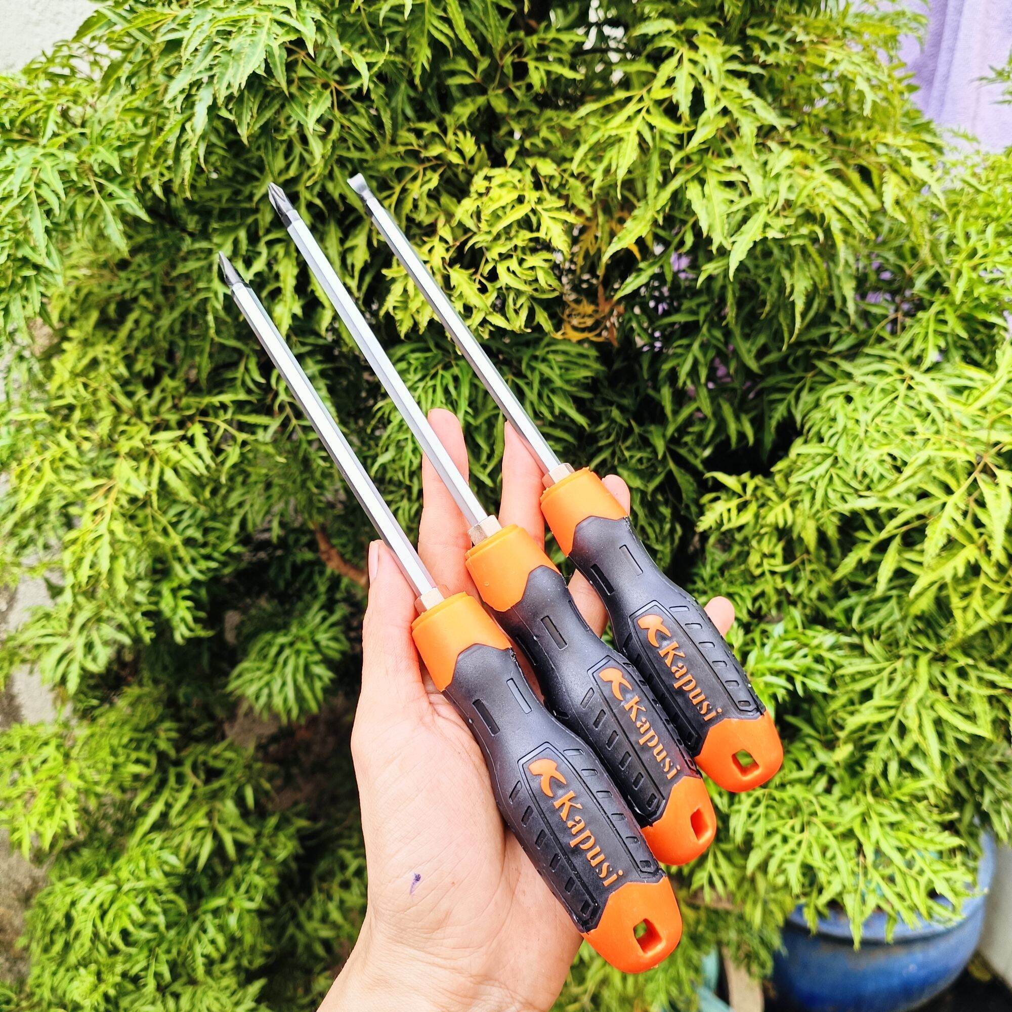 Tu vít 2 đầu kapusi  hoặc  tu  vít gai