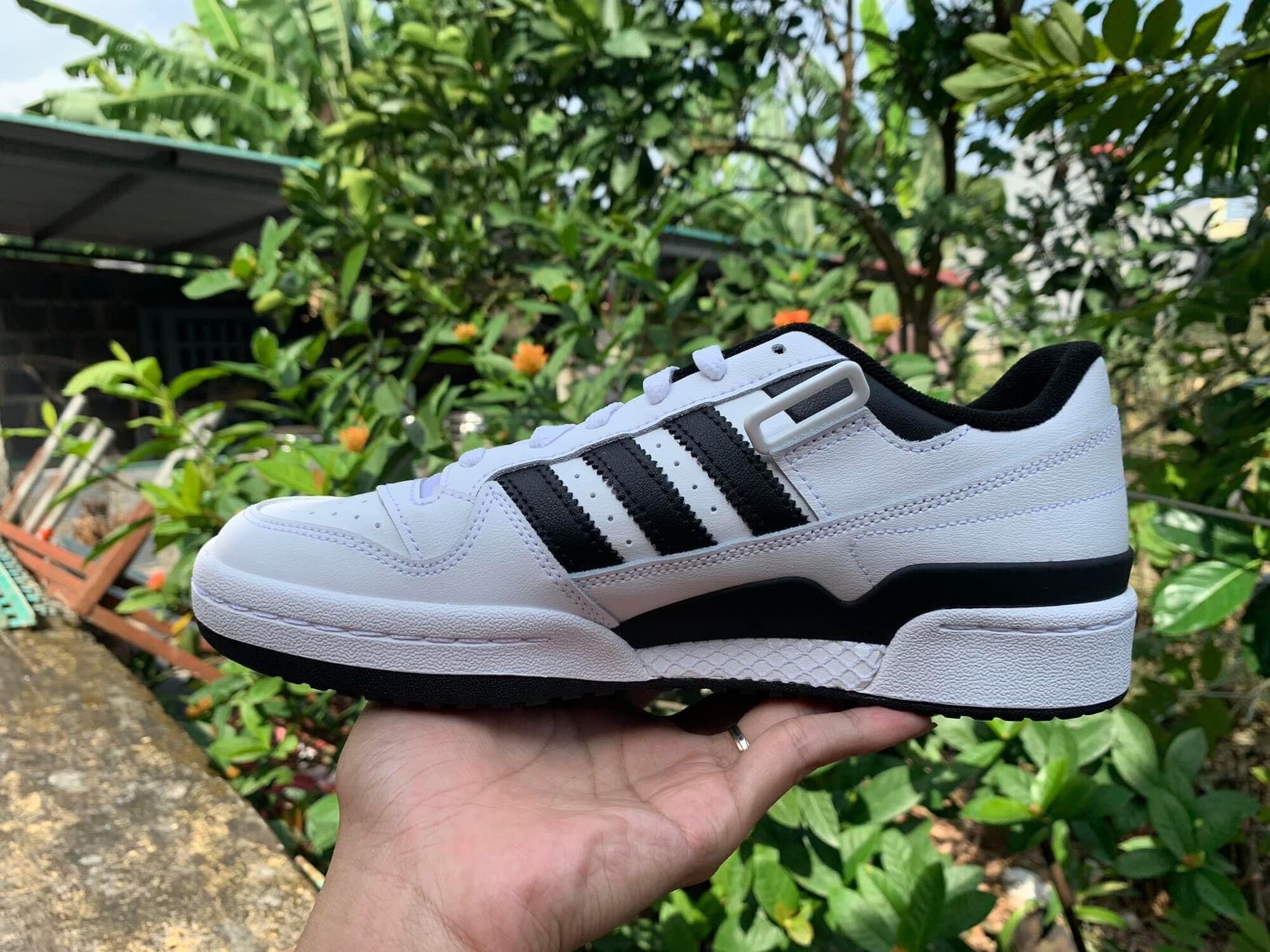 Giày Adidas Forum Low💯