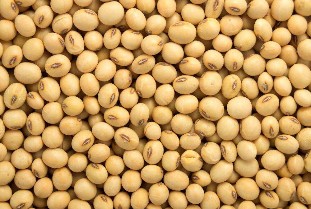 đậu nành hạt 1 kg