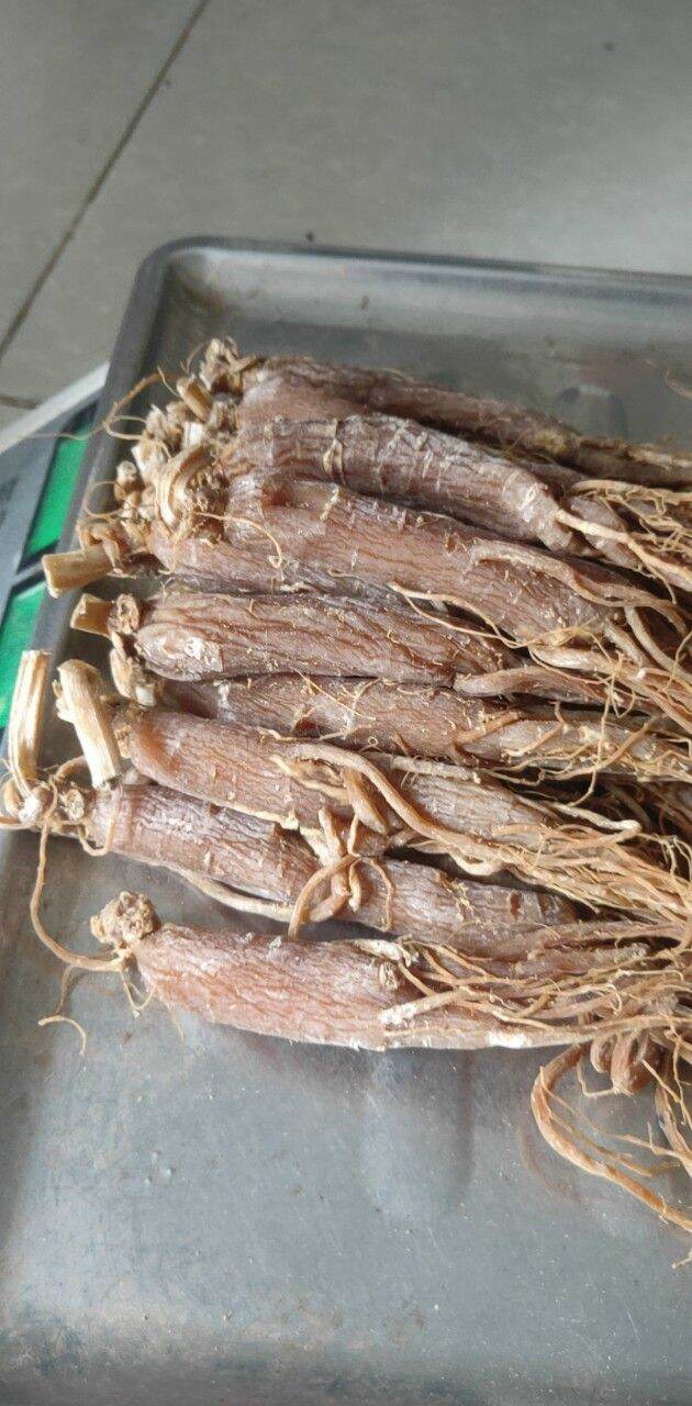 100gr Nhân Sâm, Hồng sâm khô