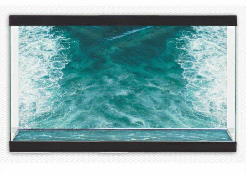 tranh 3d dán hồ cá  DECAL VIP- IN THEO KÍCH THƯỚC HỒ ( tranh lưng )