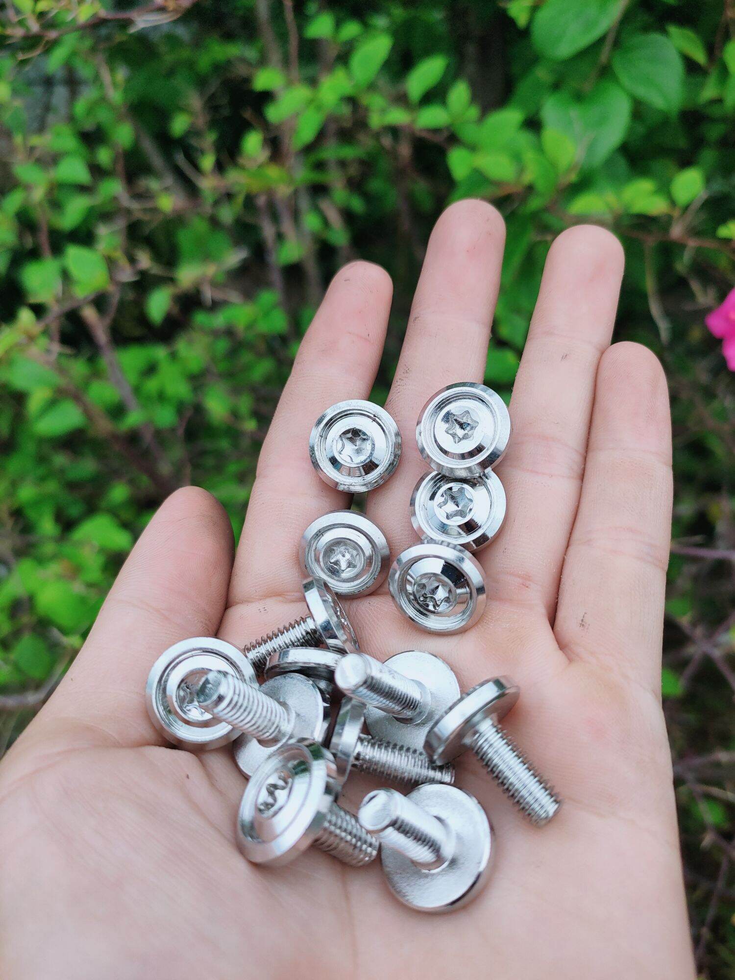 Ốc Salaya 6li10 - 20 mẫu Thái V3