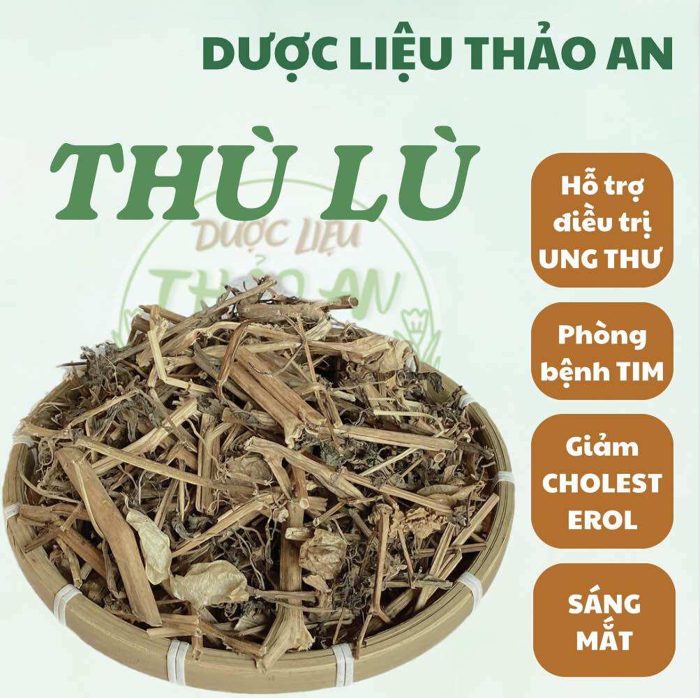 1 kg cây thù lù khô mới đẹp, lᴏại 1 - cơ sở dượᴄ liệu thảo an