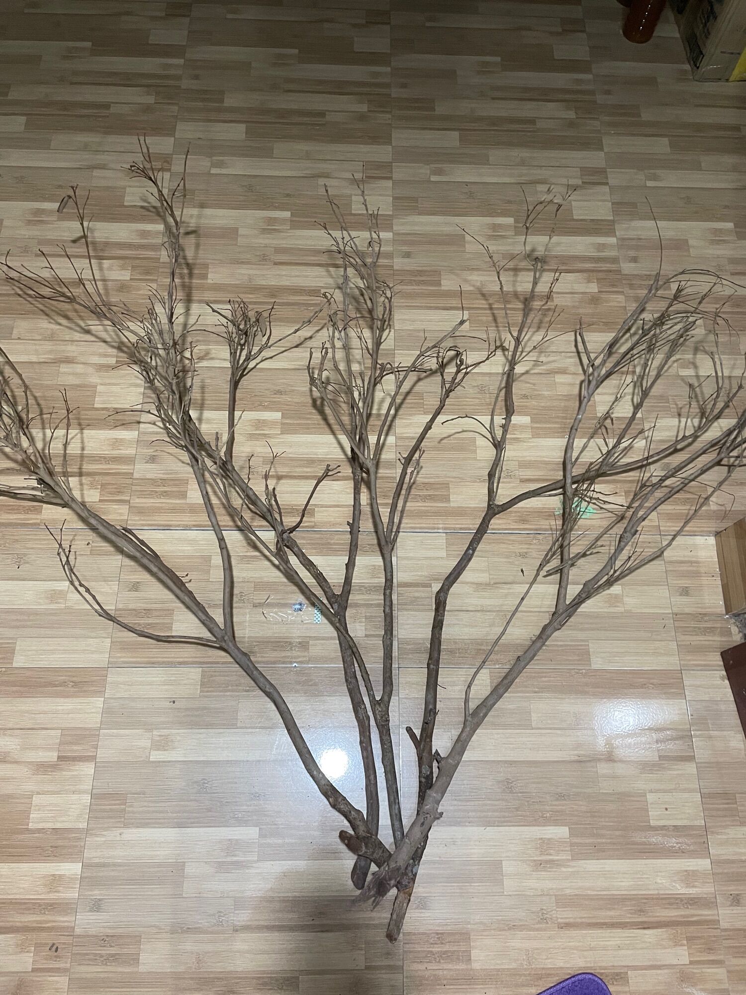 Cành củi trang trí (80cm-1m)